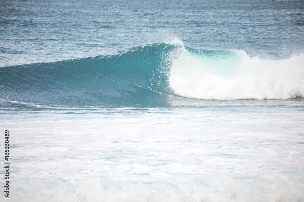 Wave in Hawaii
