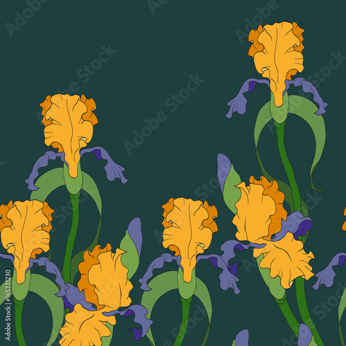Fototapeta Naklejka Na Ścianę i Meble -  Seamless border of yellow irises. Background.