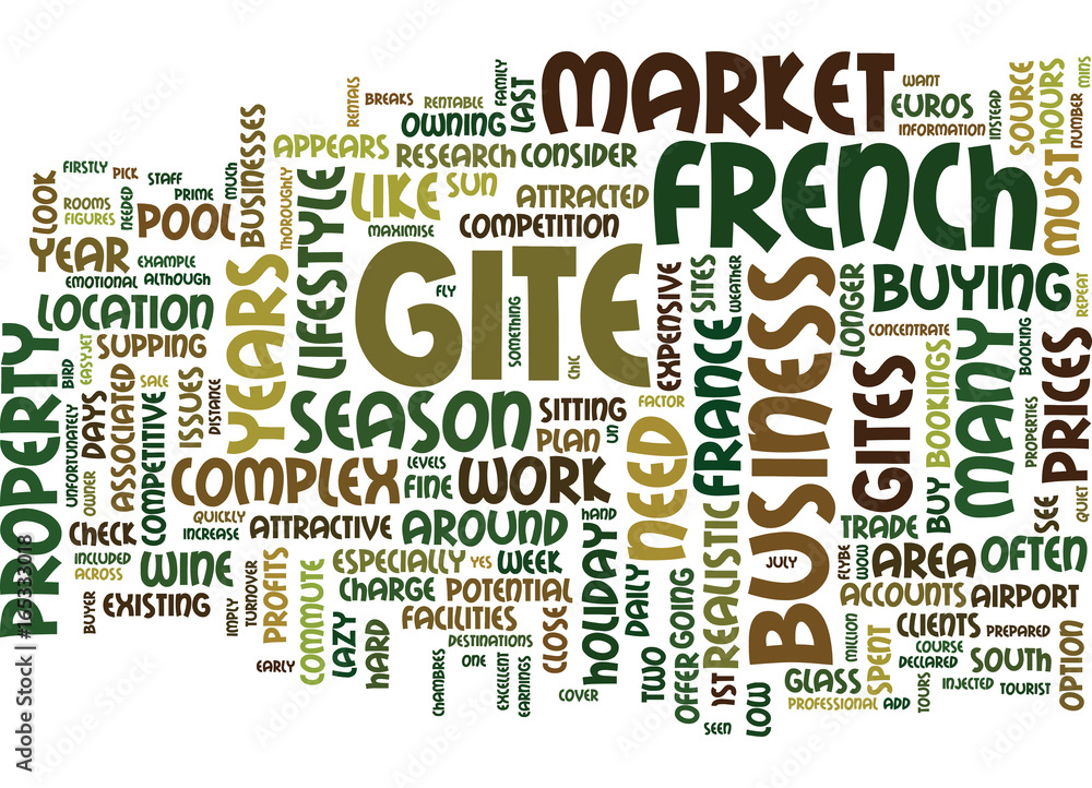 FRENCH GITES LIFESTYLE OR A BUSINESS Text Background Word Cloud Concept
