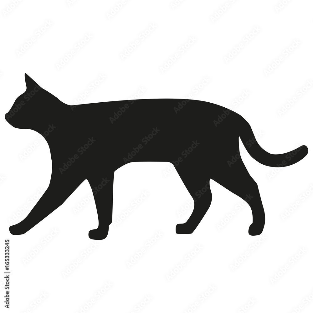 Vector image of a cat. Silhouette of the cat.
