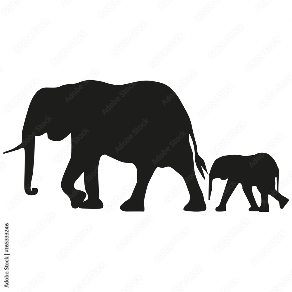 Fototapeta premium Vector image of an adult elephant and a young elephant. Silhouette of the elephant.