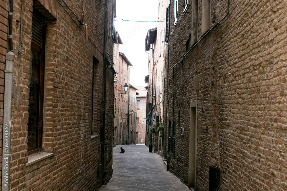 Narrow street of a medieval village, typical of Italy and France