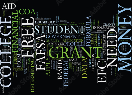 FREE GRANT MONEY FOR COLLEGE Text Background Word Cloud Concept photo