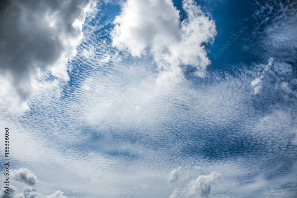 Fototapeta premium Summer Sky 1