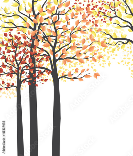 Autumn multicolored forest