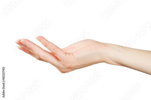 Beautiful woman hand holdin...