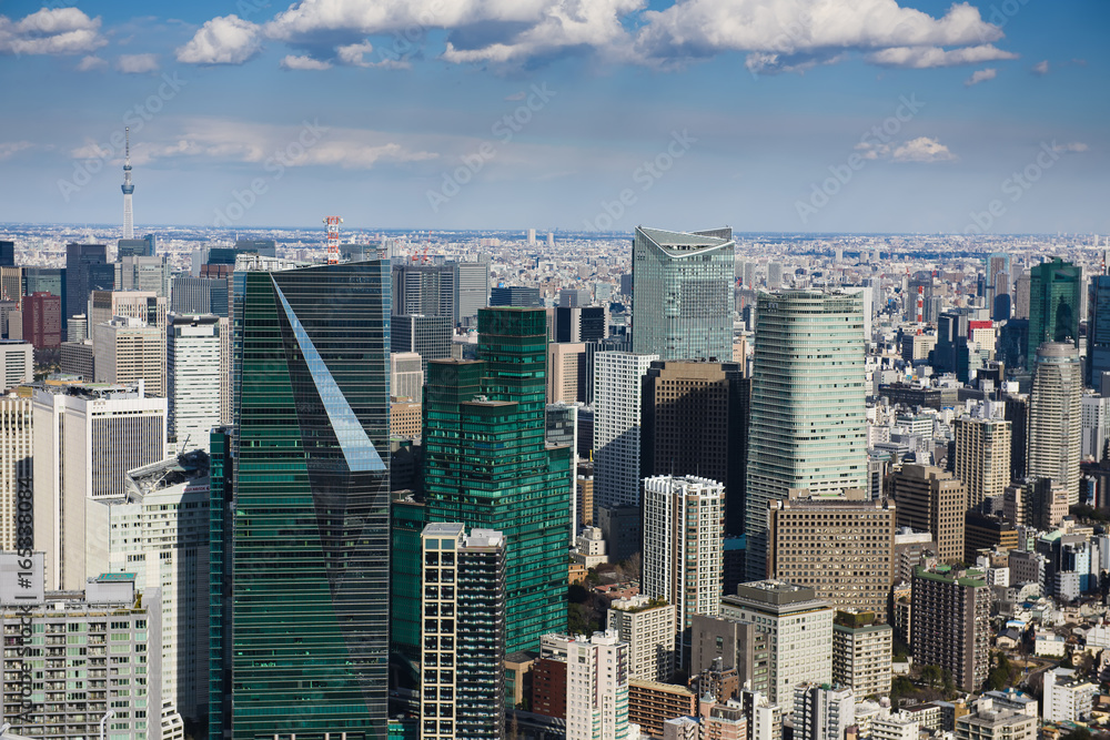 Naklejka premium Tokio z linią horyzontu w Tokio Japonia