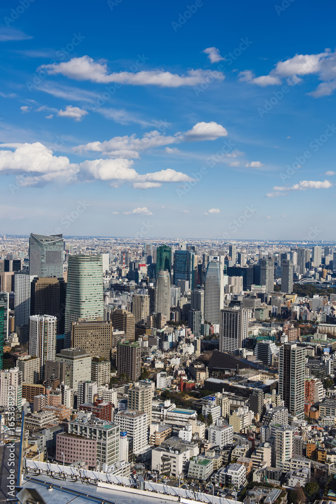 Tokyo with skyline in Tokyo Japan