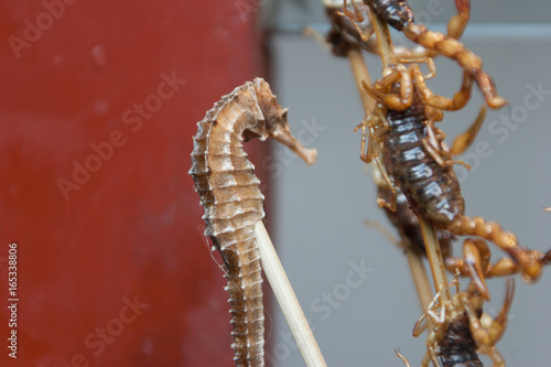 China Beijing, traditional insect food on skewer