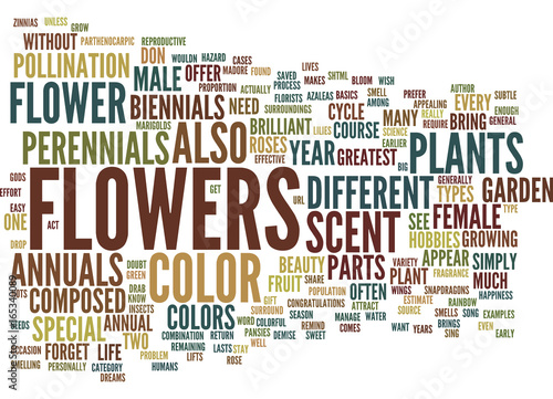 FLOWERS AN ANNUAL EVENT Text Background Word Cloud Concept