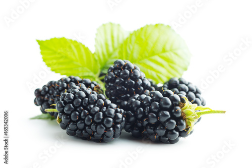 Tasty ripe blackberry. photo