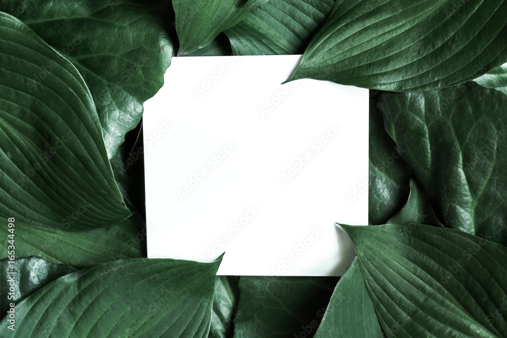Fototapeta premium Creative layout made of tropical leaves with blank paper card