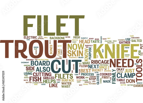 FILET TROUT FILET FISH NO BONES NO SKIN Text Background Word Cloud Concept