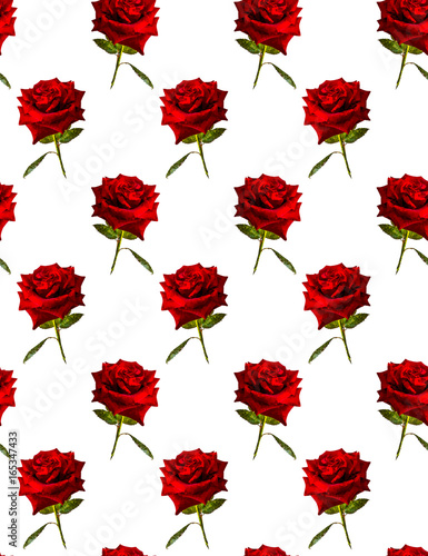 Red rose with green leaves .    Vector  design. . Modern illustration for background greeting cards and invitations of the  birthday  Valentine s Day  Mother s Day and wedding.  Seamless pattern