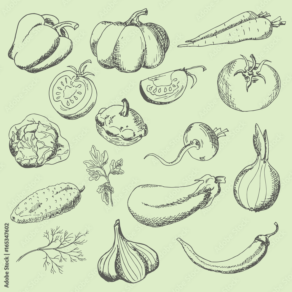 Set of vegetables. The sketch marker. Vector Set of vegetables. The sketch marker. Vector