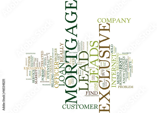 EXCLUSIVE MORTGAGE LEADS Text Background Word Cloud Concept