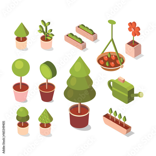 Vector isometric flowers in pot.