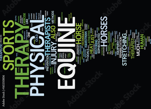 EQUINE PHYSICAL THERAPY Text Background Word Cloud Concept