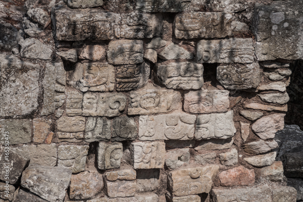 Ruins at the archaeological site Copan, Honduras Ruins at the archaeological site Copan, Honduras