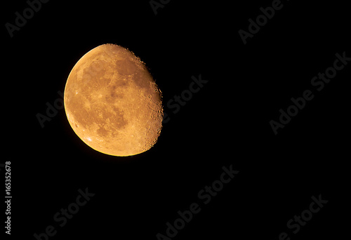 yellow moon 