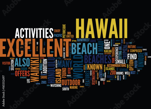 ENJOY EXCELLENT BEACHES IN HAWAII Text Background Word Cloud Concept photo