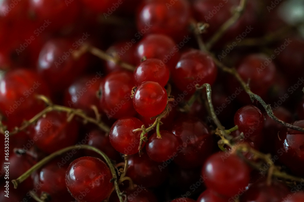 Currant Currant