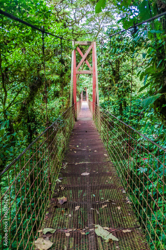 Suspension bridge in the cloud forest of Reserva Biologica Bosque Nuboso Monteverde, Costa Rica