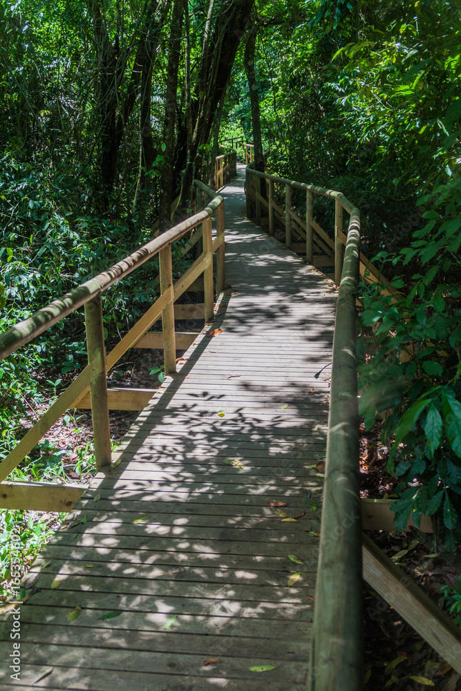 Boardwalk in National Park Manuel Antonio, Costa Rica