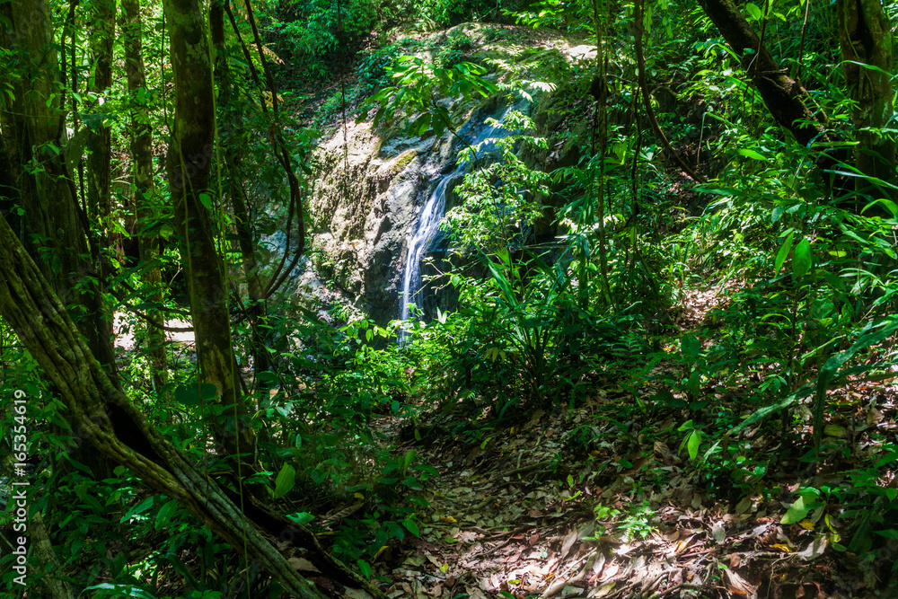 Small waterfall in National Park Manuel Antonio, Costa Rica Small waterfall in National Park Manuel Antonio, Costa Rica