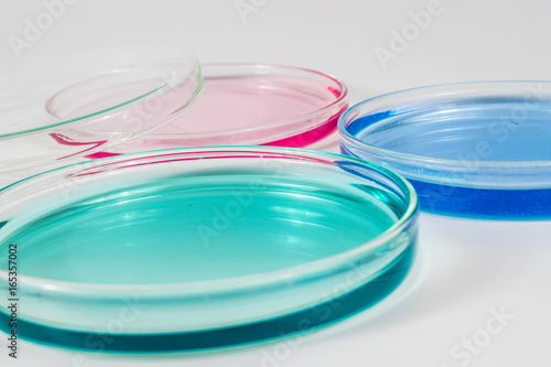 color liquid in petri dishes. laboratory, science and clinic background