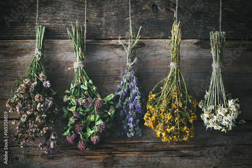 Fototapeta Naklejka Na Ścianę i Meble -  Hanging bunches of medicinal herbs and flowers. Herbal medicine. Retro toned.