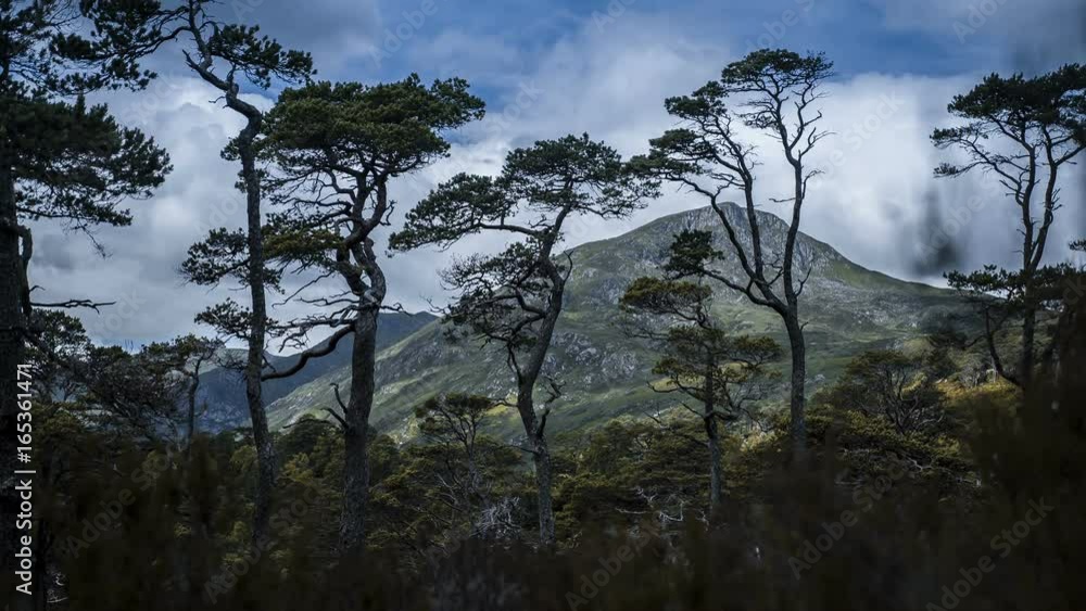 Time Lapse At Glen Affric, Scotland Time Lapse At Glen Affric, Scotland
