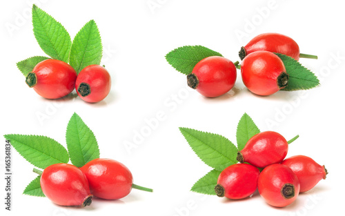 rose hip berry with leaf isolated on white background. Set or collection