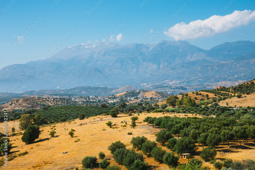 Obraz premium Beautiful mountain landscape with olive plantation, Crete Island, Greece