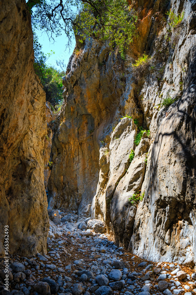 Fototapeta premium Kritsa Gorge near Agios Nikolaos on Crete, Greece