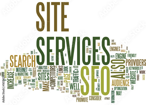 BASIC SEO WISDOM Text Background Word Cloud Concept