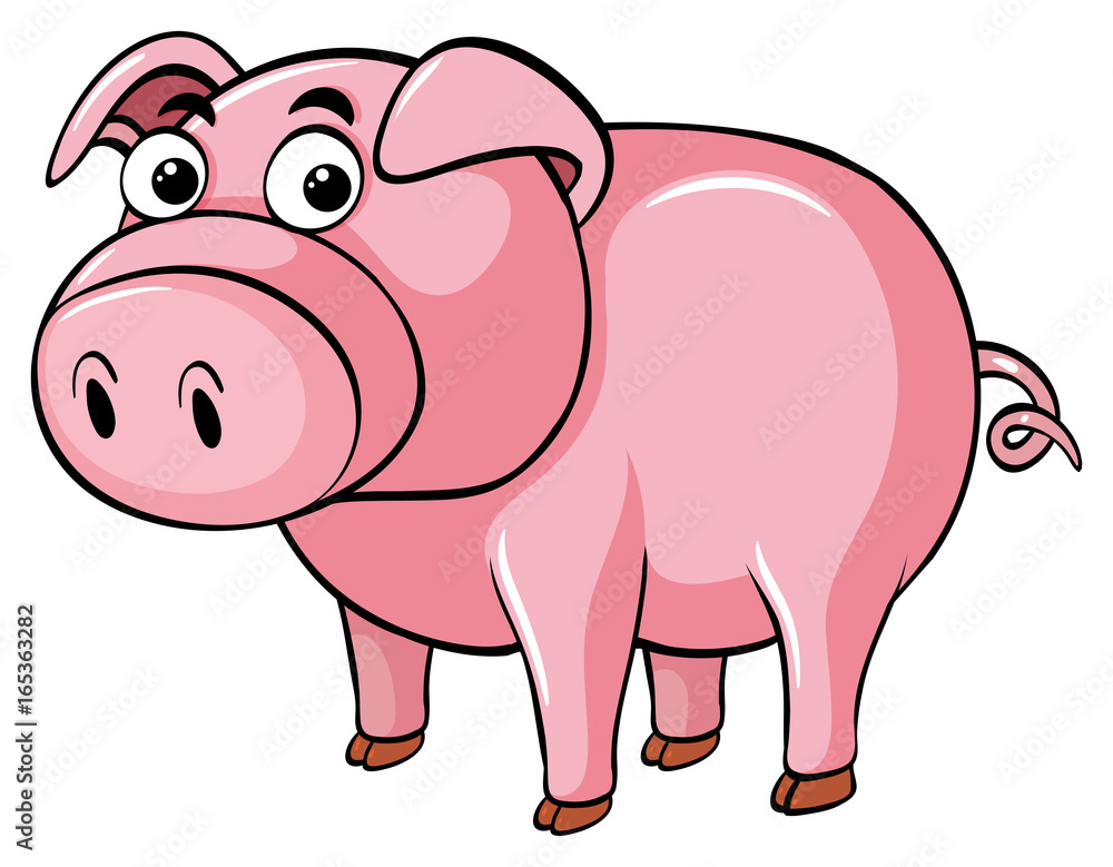 Pink pig on white background Pink pig on white background