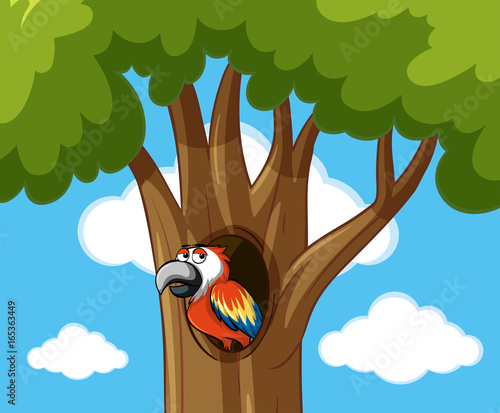Parrot in hollow tree