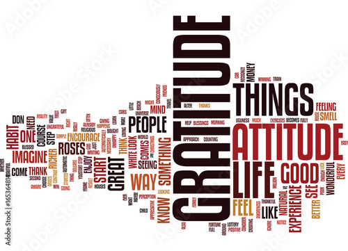 ATTITUDE OF GRATITUDE Text Background Word Cloud Concept