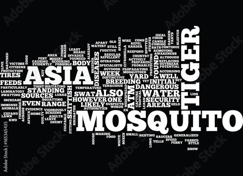 ASIAN TIGER MOSQUITO Text Background Word Cloud Concept