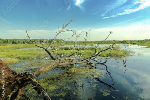 Kakadu Wilderness