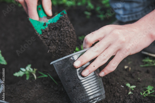 To plant a tree. The person plants a tree.