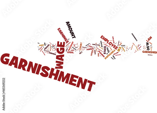 THE LEGAL PROCEDURE OF WAGE GARNISHMENT Text Background Word Cloud Concept