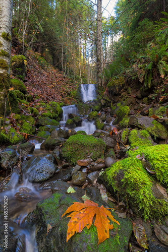 Small Waterfall at Lower Lewis River Falls Washington state