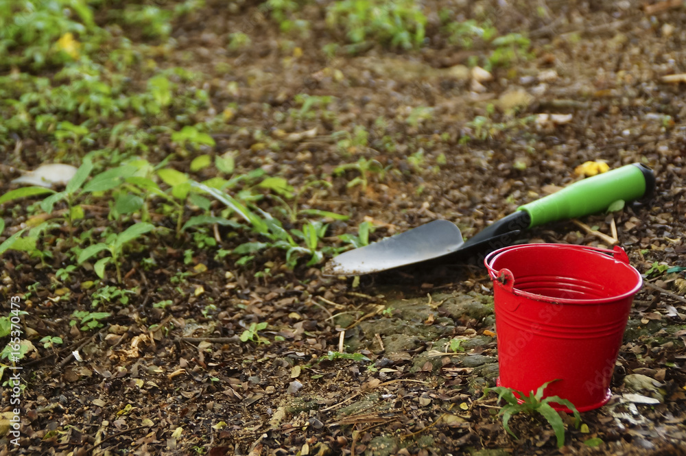 Shovel And Bucket On The Ground In The Garden Shovel And Bucket On The Ground In The Garden