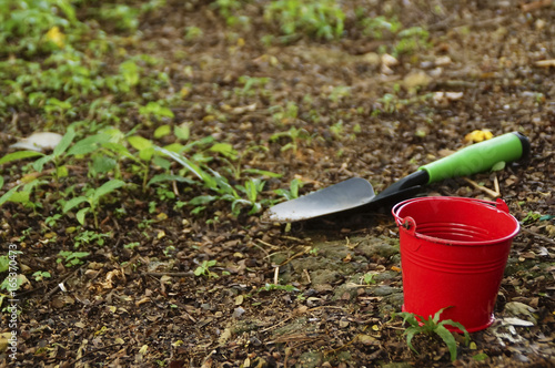 Shovel And Bucket On The Ground In The Garden