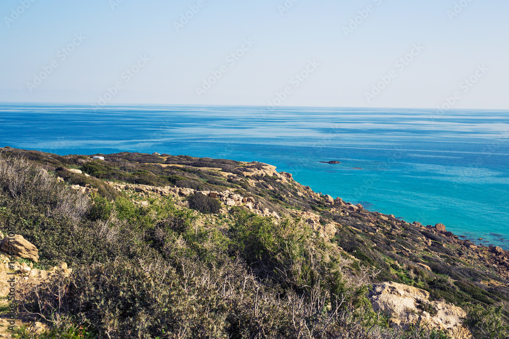 Overgrown sandy beach of Mediterranean Sea
