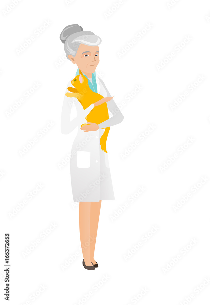 Senior caucasian veterinarian with cat in hands. Senior caucasian veterinarian with cat in hands.