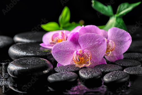 beautiful spa setting of blooming twig lilac orchid flower  green leaves with water drops on zen basalt stones