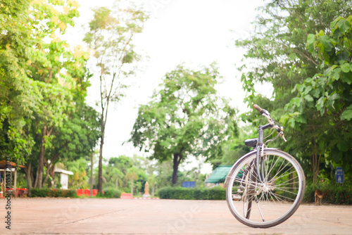 Blur bicycle in park.